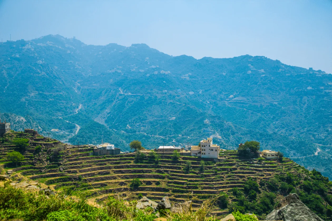 Abha